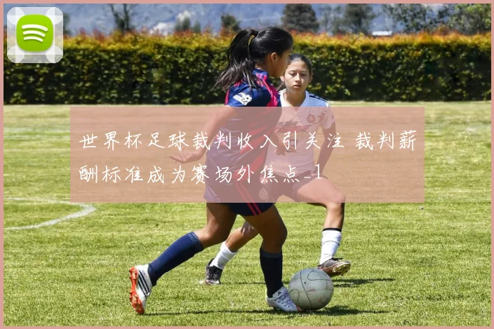 世界杯足球裁判收入引关注 裁判薪酬标准成为赛场外焦点_1