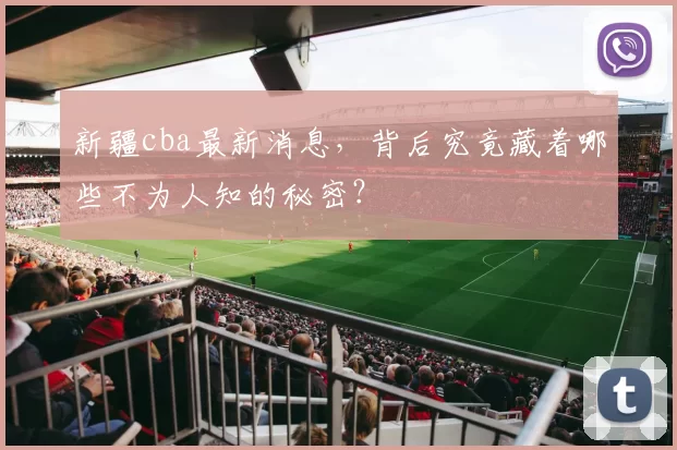 新疆cba最新消息，背后究竟藏着哪些不为人知的秘密？